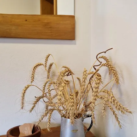 Ecohouse Furlan - Pinja Apartmán *