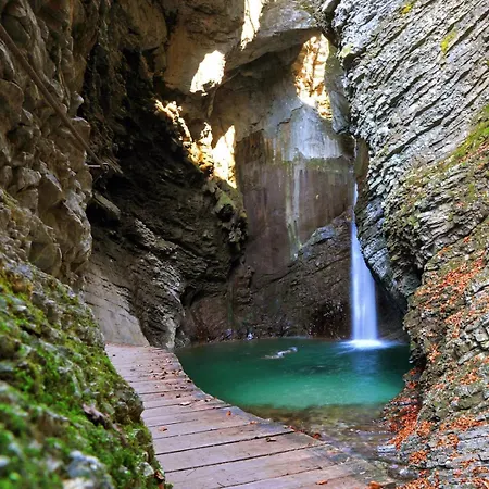 Ecohouse Furlan - Pinja *