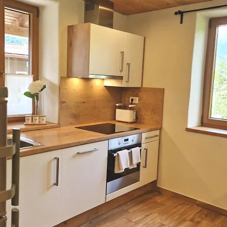 Ecohouse Furlan - Pinja Apartment