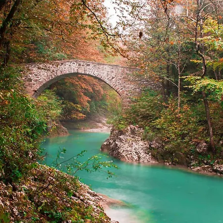 Ecohouse Furlan - Pinja Apartment Kobarid