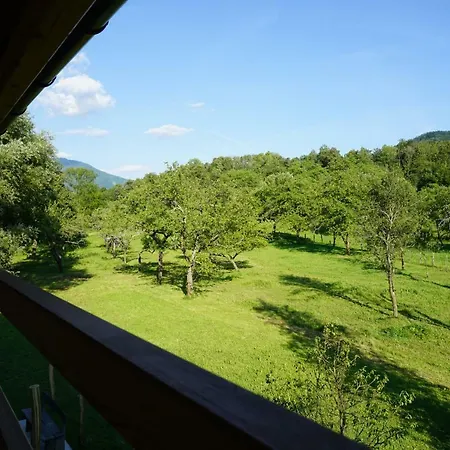 Apartmán Ecohouse Furlan - Pinja