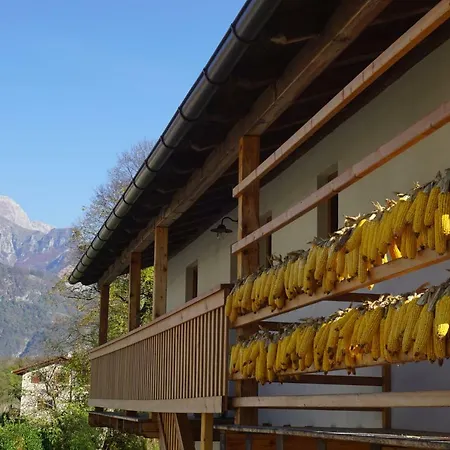 Ecohouse Furlan - Pinja Apartment