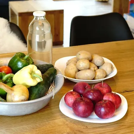 Apartment Ecohouse Furlan - Pinja *