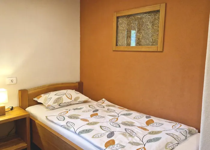 Ecohouse Furlan - Pinja דירה קובאריד