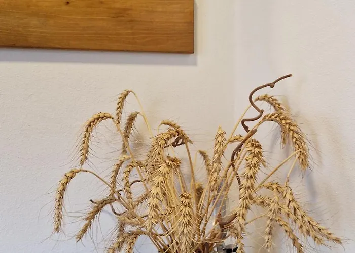 Ecohouse Furlan - Pinja דירה *