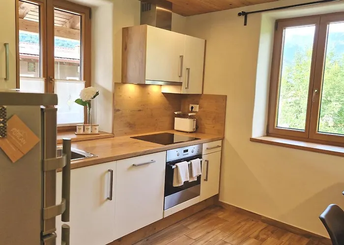 Ecohouse Furlan - Pinja דירה