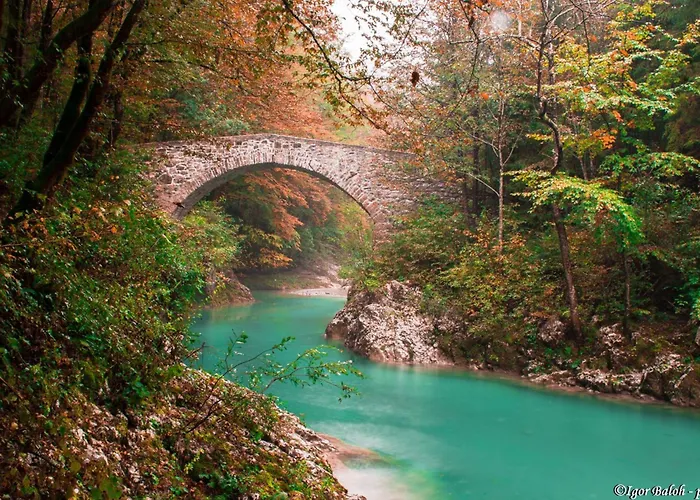 Ecohouse Furlan - Pinja דירה קובאריד