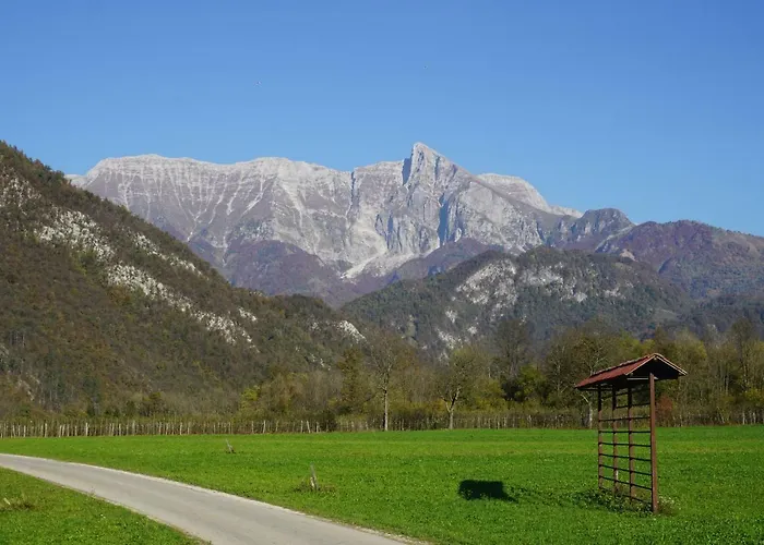 Ecohouse Furlan - Pinja