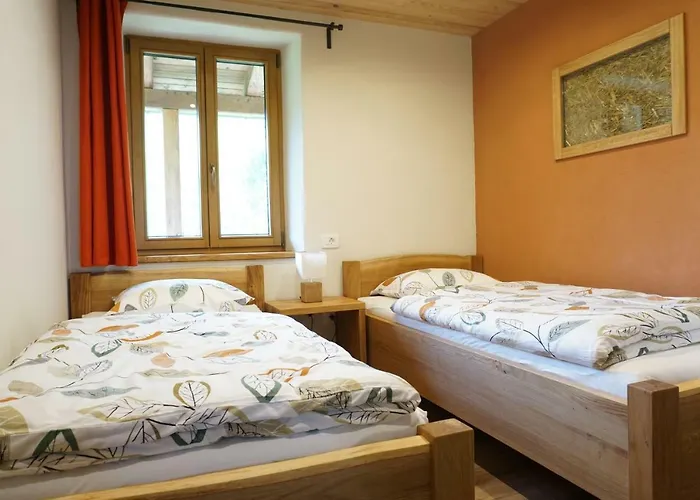 Ecohouse Furlan - Pinja דירה